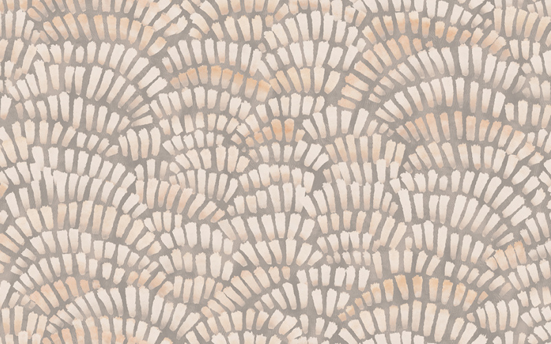 Plumage Dove